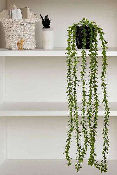 Lilac Home Yapay Çiçek Saksıda 70 Cm Elodea Sarkan Yeşillik
