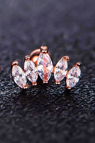VipBT Helix Tragus Snug Conch Daith Earlobe Çelik Yaprak Kıkırdak Küpe Piercing Rose