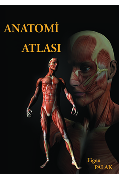 Bedray Yayınevi Anatomi Atlası - Figen Palak