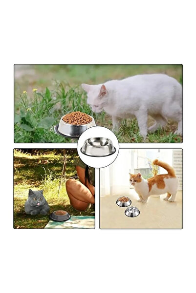 mywarehouse 2 Adet Paslanmaz Çelik Mama Ve Su Kabı, Alt Taban 16 Cm (250 ML-8 OZ)
