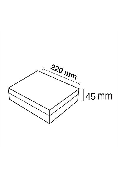 Forlife 36Watt New Generation Surface Mounted Square Led Panel Luminaire (Daylight)