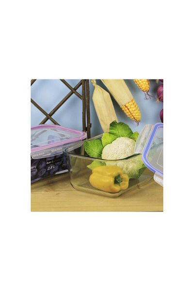 Bor&More Bor & More Lockable Storage Container Blue Food Organization Kitchen 2.8lt 24.5x18,5x11.2cm 1 Piece