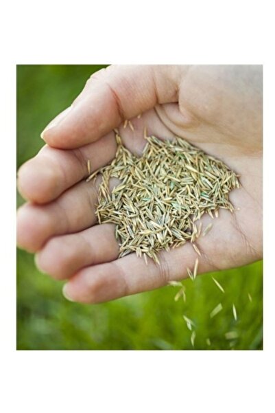 Köy Tohumları 1 Kg 6lı Karşım Çim Tohumu Villa Bahçe Çimi Tohumu Organik Hasa...