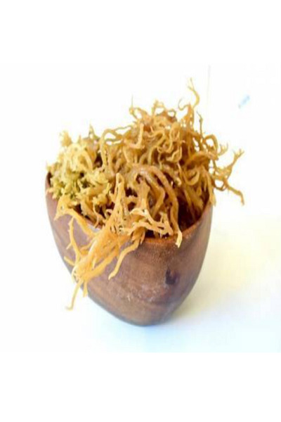 Genel Markalar Deniz Kadayıfı İrish Moss Gold Sea Moss 25 gr