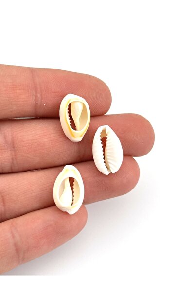Selvi Konsept Doğal Deniz Kabuğu (Tazı Boncuğu) Takı Dekorasyon Boncuğu 10 mm 50 Adet