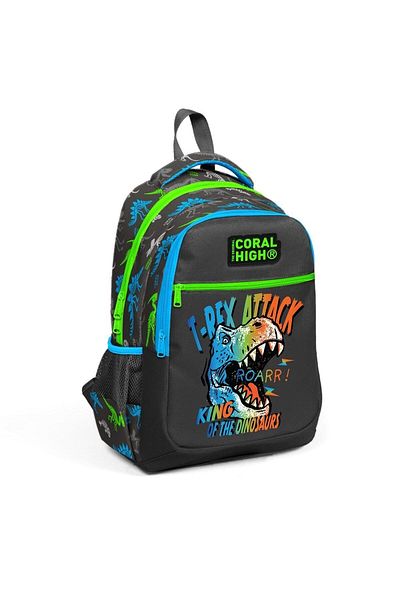 Coral High Kids Gray Dinosaur Patterned Three Compartment School Backpack 23482