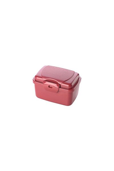 Kazanabil ARONİ TAKEAWAY MINI STORAGE CONTAINER WITH SEAL-FREE LID 350ML