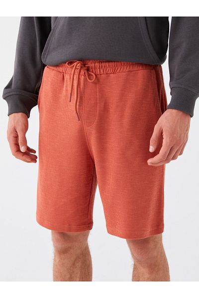 LC Waikiki Ανδρικό σορτς Standard Fit