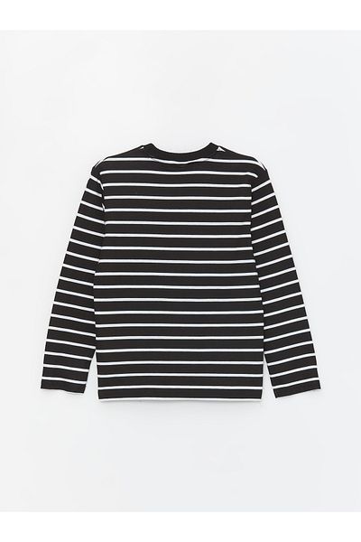 LC Waikiki Boy - Crew Neck Striped Long Sleeve T-Shirt