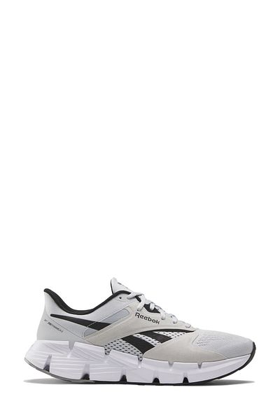 Reebok ZIG DYNAMICA 5 Gray Unisex Running Shoes