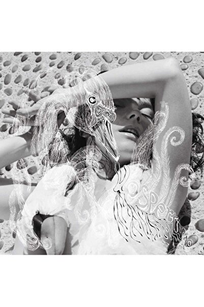 plakmarketi YABANCI PLAK - Björk / Vespertine