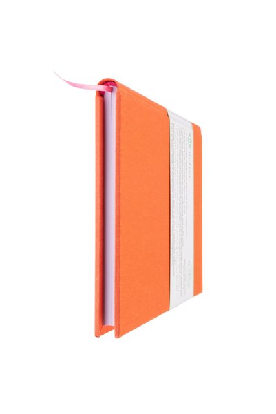 BİDEFTER دفتر ملاحظات على شكل جيتار (مع مفاتيح Fa و Tab) + مخطط (مصنوع يدويًا بنسبة 100٪، مخيط يدويًا، تصميم خاص (A/5)