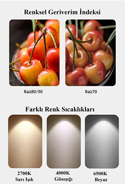 ZMR 40W Oval Torch Led Ampul Gri 6500K Beyaz Işık Dekoratif Jumbo Led Lamba