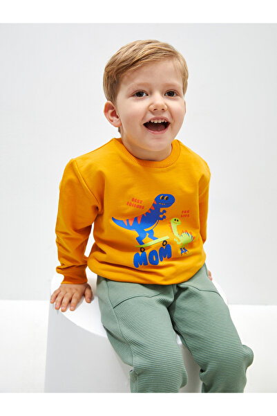 LC Waikiki Bisiklet Yaka Uzun Kollu Baskılı Erkek Bebek Sweatshirt