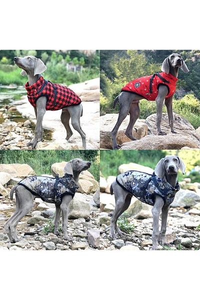 V.Pet.B.R. V.pet.b.r Waterproof Warm Dog Coat Outfit