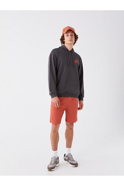 LC Waikiki Ανδρικό σορτς Standard Fit