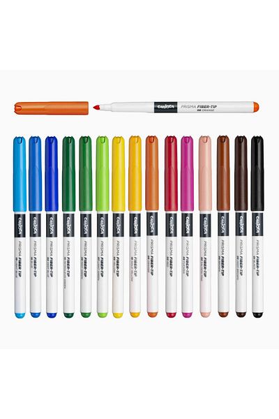 CARIOCA CARİOCA PLUS PRISMA FIBER NIB SEALED PAINT PEN 30 PIECES (HARD BOX)