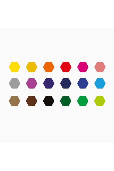 CARIOCA CARİOCA PLUS 4.0 DRY PAINTING PEN 18 PIECES