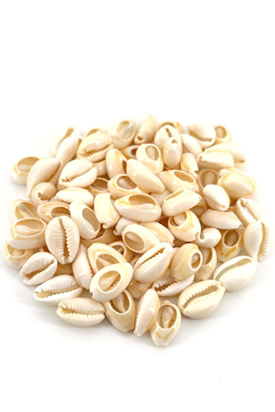 Selvi Konsept Doğal Deniz Kabuğu (Tazı Boncuğu) Takı Dekorasyon Boncuğu 10 mm 50 Adet