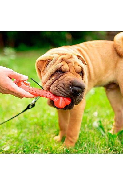 Ferplast Dog Toy Made of Polyurethane 22.5cm