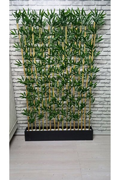 ERHAN FLOWERS Bambu Speratör 220 Cm Boy 100 Cm Saksıda 15'li