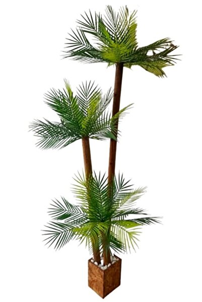 Genel Markalar Yapay Palmiye Çikas Areka Palmiyesi 1.80 Mt Boy Ağaç Beyaz Ahş...