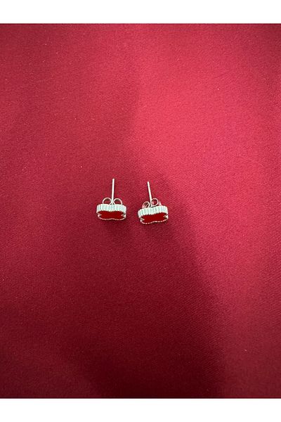 Vaveyla Steel Earring Top Segment Vip Model