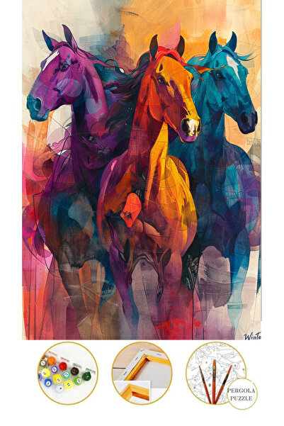 Puzzle Sayılarla Boyama 35x50 Kanvasa Gerilmiş Tuval Boyama