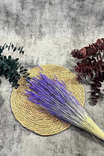 Goya Home Mor Solucan Otu Doğal Kurutulmuş Kuru Çiçek Solucan Otu Gelin Buketi  Aranjman Çiçeği Hediyelik