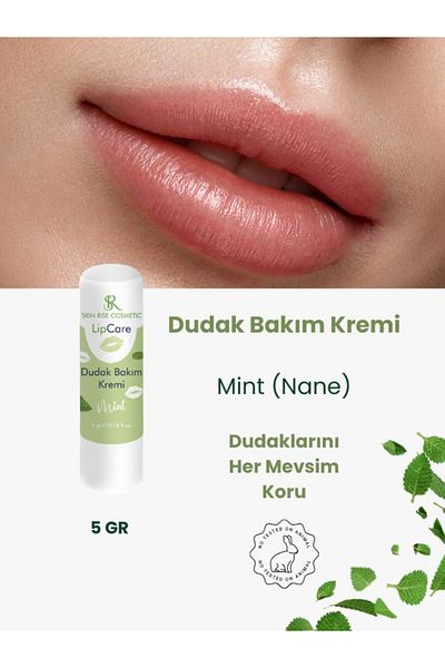 skın rise 5Gr Mint Lip Moisturizer