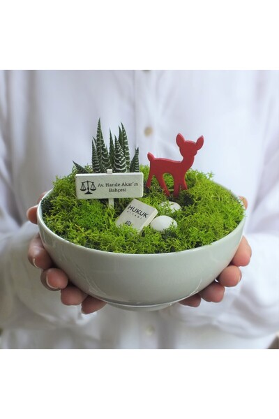 Paspasın Bahçeleri Avukata Teşekkür Hediyesi Minyatür Bahçe Teraryum - Luna K...