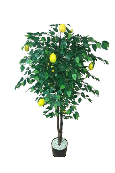 Genel Markalar Yapay Sarı Limon Ağacı 1.70 Mt Boy Büyük Meyveli Gerçek Görünü...