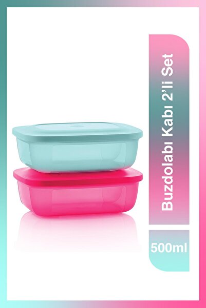 Tupperware Buzdolabı Kabı 2'li Set 500 ml Pembe-Mavi