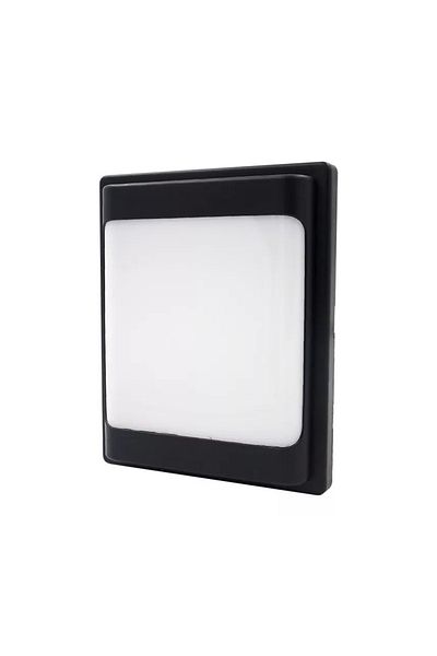 AC AYDINLATMA 30 W Carpo Black Plastic Led Glop White Light