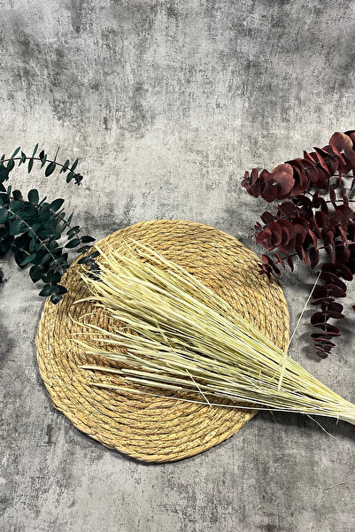 Goya Home Cream Wormwood Natural Dried Dry Flower Wormwood Bridal Bouquet Arr...