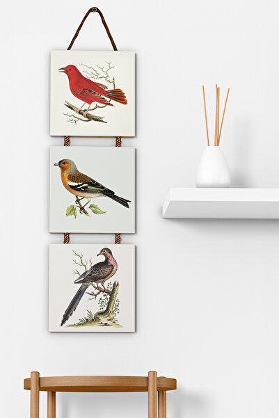 Artavessa 3'lü Halat Askılı Mdf Tablo Seti