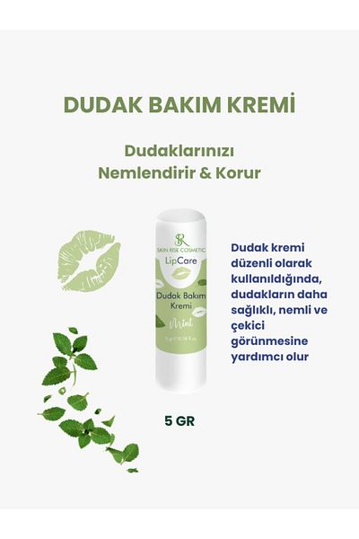 skın rise 5Gr Mint Lip Moisturizer