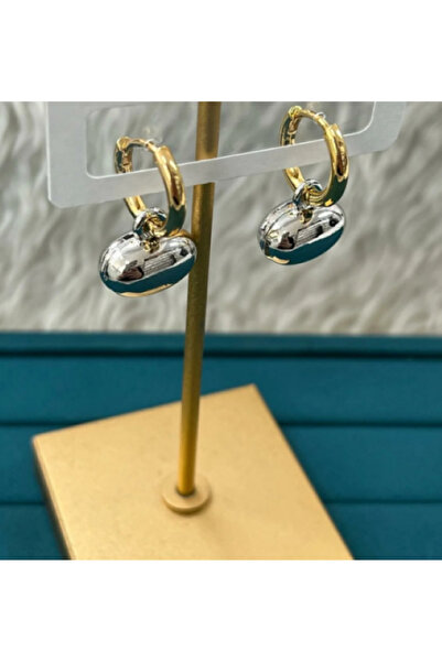 Çelik Gold Halkalı Silver Küpe