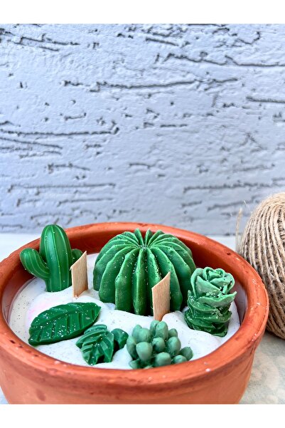 Lama Candle Kaktüs dekoratif soya wax kokulu mum