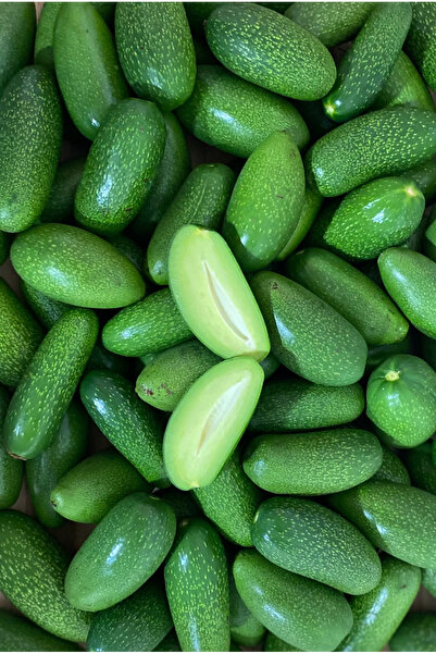 ECOLIFE TROPICAL 1 Kg Bebek Avokado Taze Hasat - Anamur