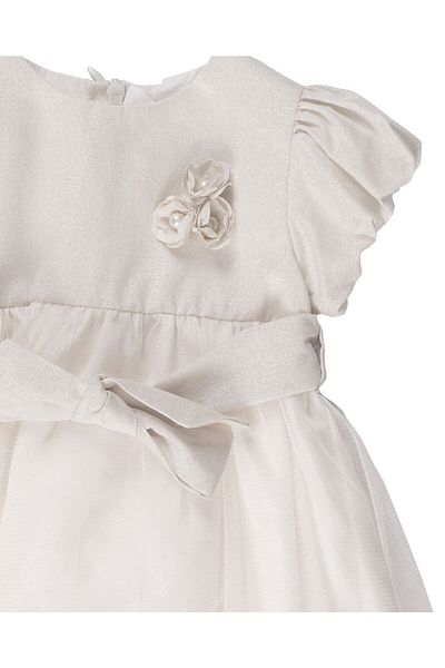 andywawa Girl's Watermelon Sleeve Dress with Tulle Skirt