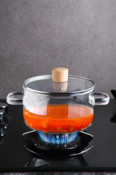 Queen’s Kitchen Borasilikat Fire Resistant Glass Pot with Bamboo Handle