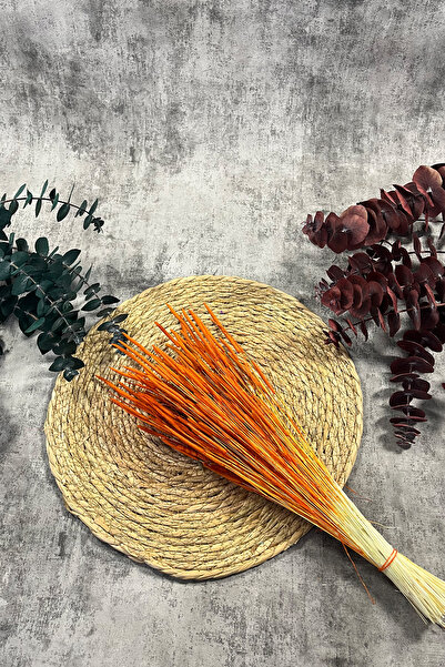 Goya Home Orange Wormwood Natural Dried Dry Flower Wormwood Bridal Bouquet Ar...