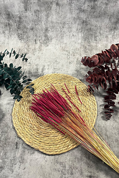 Goya Home Fuchsia Wormwood Natural Dried Dry Flower Wormwood Bridal Bouquet A...