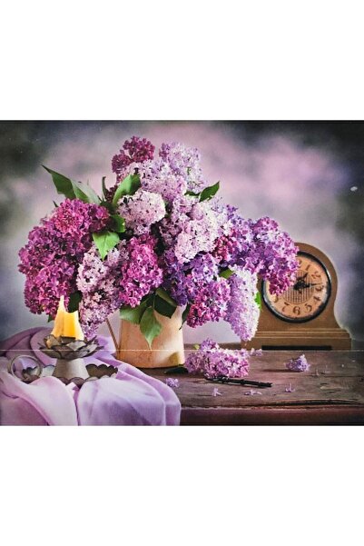 OZN TUHAFİYE Hı Stone 5d Elmas Boncuk Taş Işleme Mozaik Goblen Kit 50x40cm Gc...