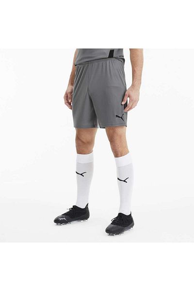 Puma Team Goal 23 Men's Gray Shorts