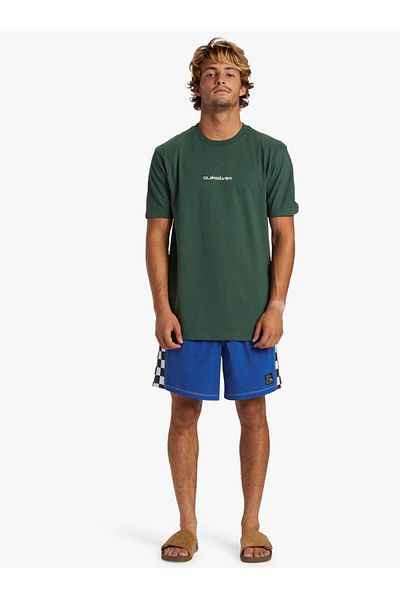 Quiksilver Quiksilver Qs Omni Logo Dna Forest Men's T-shirt Aqyzt09601-26111