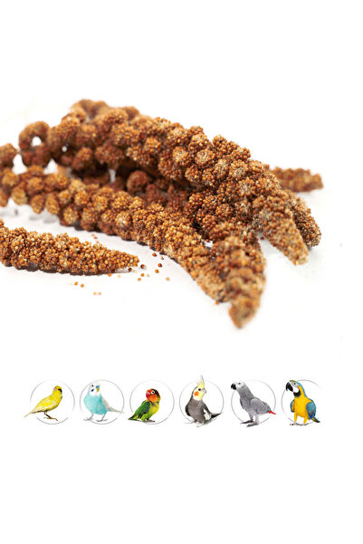 Wahw Pet Kızıl Dal Darı - 200 GR