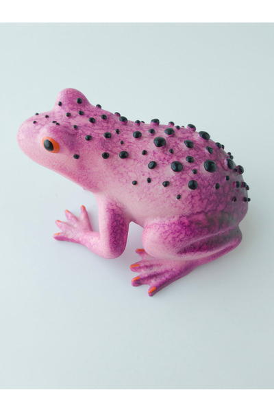 Kare Home Dekoratif Kurbağa ÖZEL BOYAMA Gerçekçi