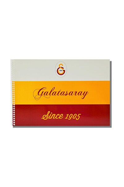 Galatasaray 24x34 15 Yaprak Karton Kapak Spiralli Resim Defteri 3 Adet